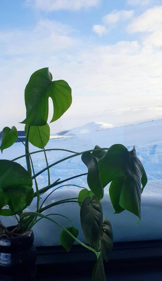 Svartaborg Húsavík Kültér fotó